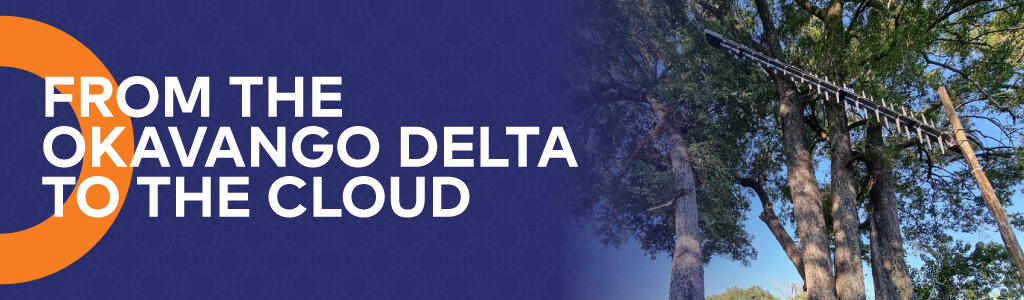 Okavango-Delta-article-banners